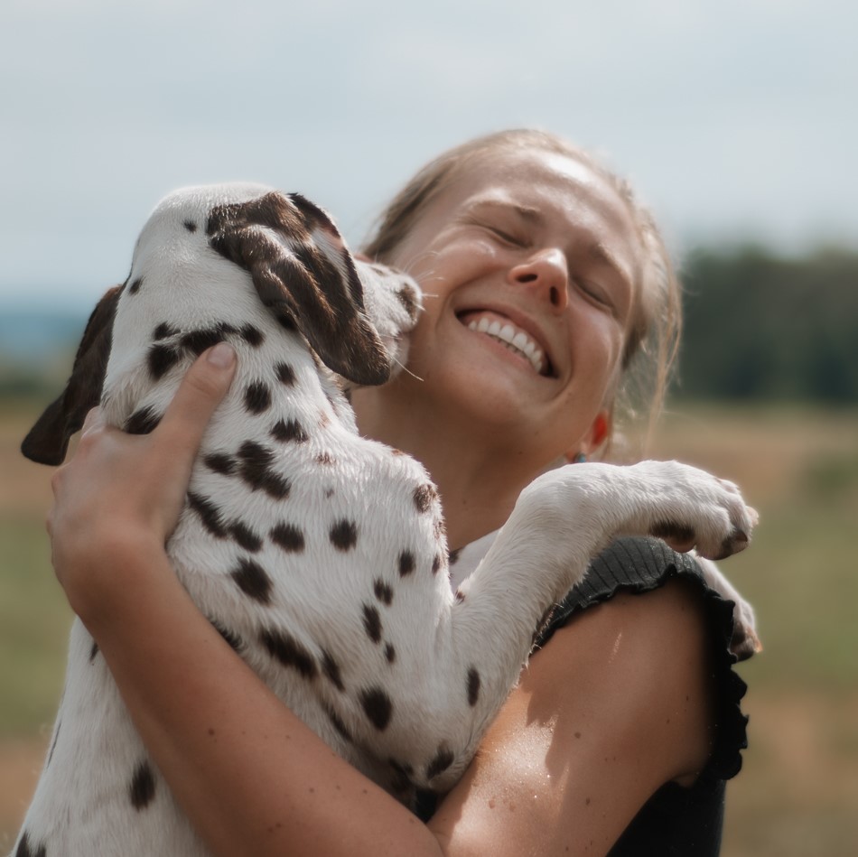 Einzeltraining für schnelle und intensive Erfolge im Hundetraining