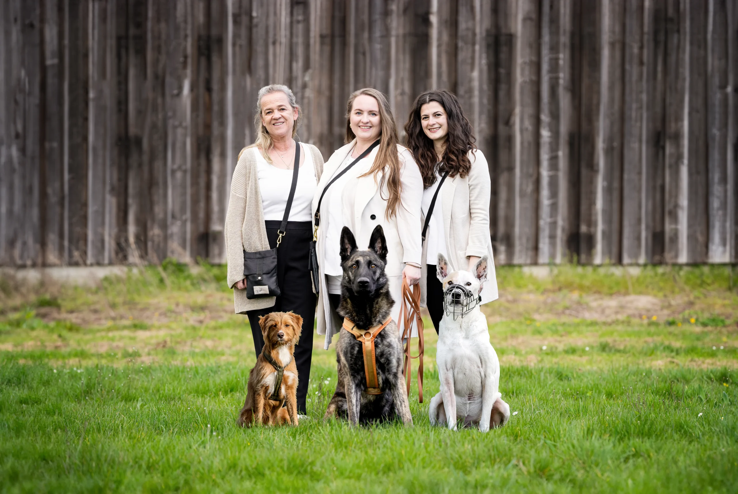 Mobile Hundeschule in Weinheim, Mörlenbach, Bensheim, Mannheim & Umgebung