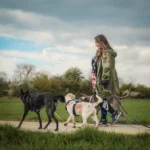 Gassiservice weinheim Dogwalking