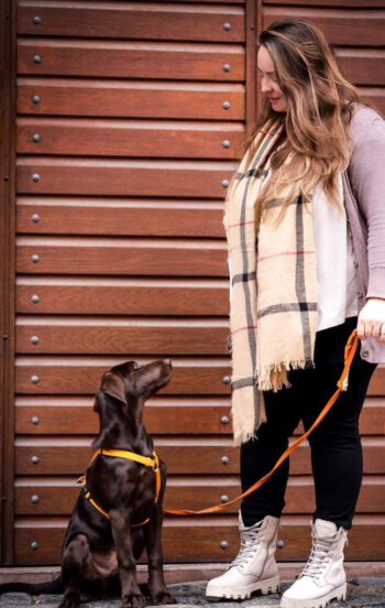 Dogflair Hundeschule in Weinheim