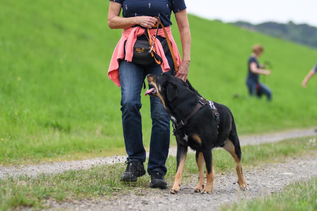 WhatsApp Image 2022-07-12 at 18.29.15 (4)