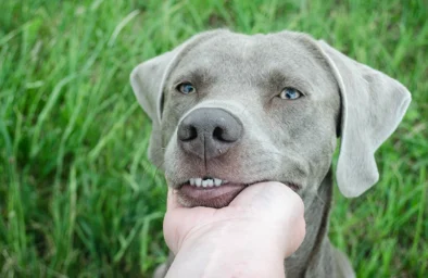 Individuelles Training für euren Alltag – vor Ort oder online, ganz auf euch abgestimmt.