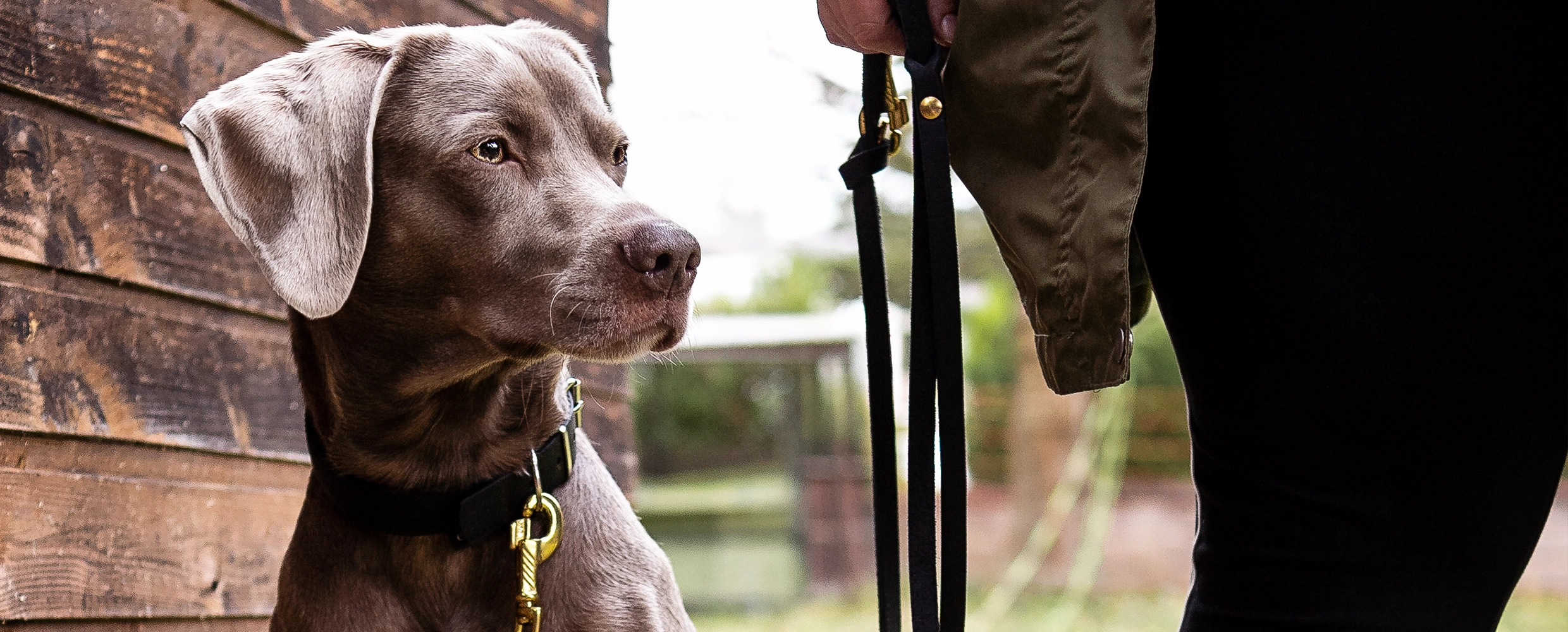 Hund läuft locker an der Leine neben seinem Menschen