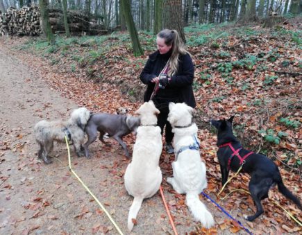 Gassi Service Weinheim