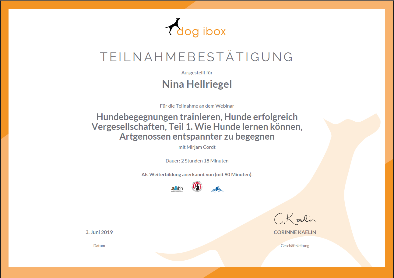 Hundebegegnungen trainieren Mirjam Cordt Hundebegegnungen trainieren Mirjam Cordt Nina Hellriegel dogflair in Weinheim, Mannheim, Bensheim