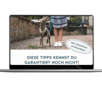 Kopie von Onlinekurs Mockup-Paket