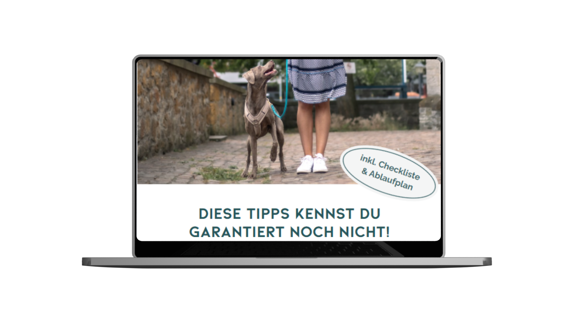 Kopie von Onlinekurs Mockup-Paket