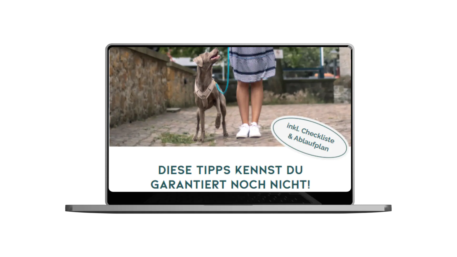 Danke für deinen Kauf