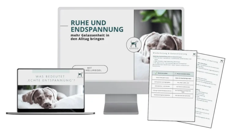 mockup ruhe und entspannung mockup ruhe und entspannung