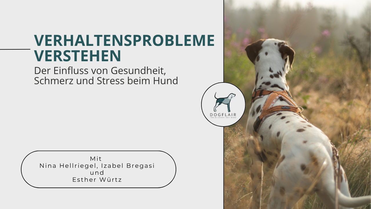 Der Einfluss von Gesundheit, Schmerz und Stress beim Hund Verändert sich das Verhalten eines Hundes plötzlich, steckt oft mehr dahinter. In diesem Gespräch mit Verhaltenstierärztin Esther Würtz geht es um die leisen Warnsignale, die Hunde aussenden, wenn im Körper etwas aus dem Gleichgewicht gerät. Wir sprechen über Schmerz, Stress, Schilddrüse, Medikation, Diagnostik und die Frage: Wann hilft Training – und wann braucht es medizinische Unterstützung? Ein Gespräch voller Aha-Momente für alle, die genauer hinschauen wollen. 