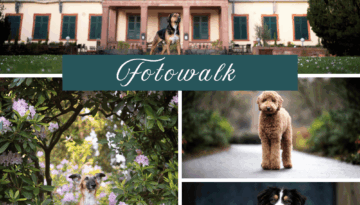 Fotowalk Isabell Dewitt Dogflair Weinheim