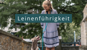 Leinenführigkeit Kurs Hundeschule Weinheim Viernheim Mannheim