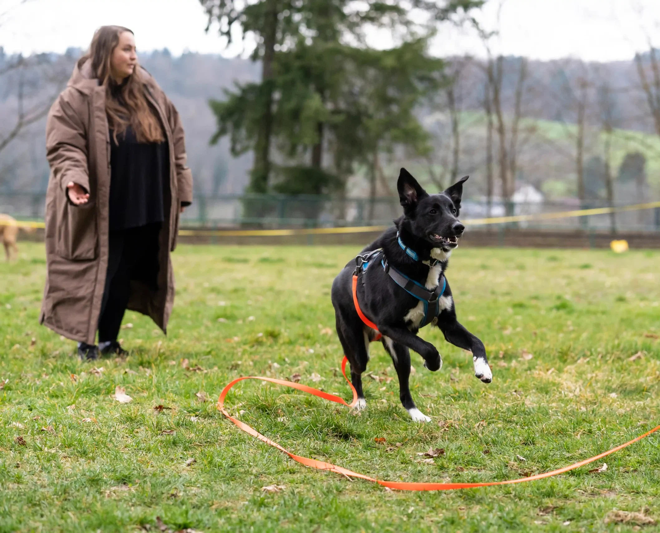 Mensch-Hund-Team im Training bei Dogflair